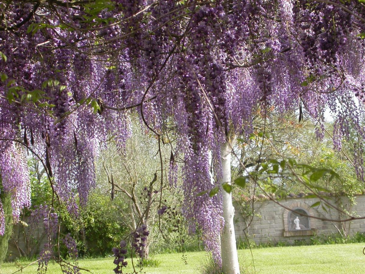 Casavacanze Sant'Eugenia Attigliano Bagian luar foto